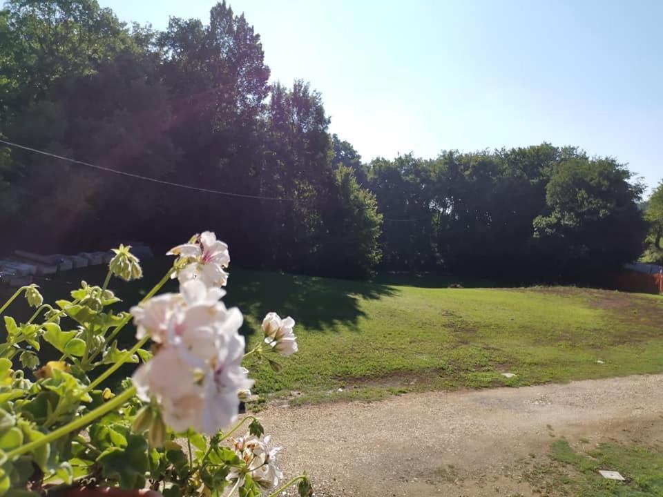 Villa Colle Nanto Bagian luar foto